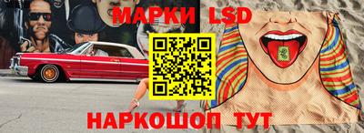 шишки Обь