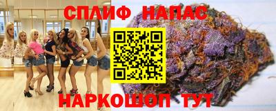 шишки Обь