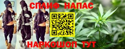 шишки Обь