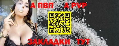 шишки Обь