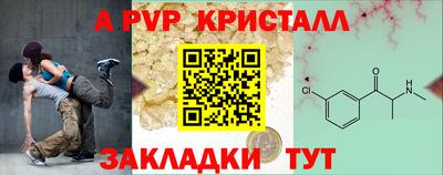 шишки Обь